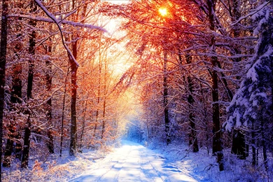 Winter HD Wallpapers   Page 2