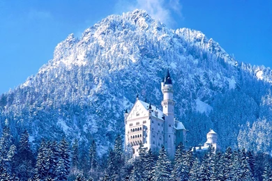 Winter Scene Desktop Backgrounds   HD Wallpapers Lovely