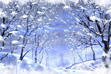 Wallpapers Snowflakes Winter Breeze Scenes 1920x1200