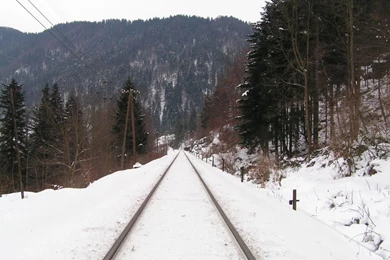 Free Screensavers Download   SaversPlanet.com