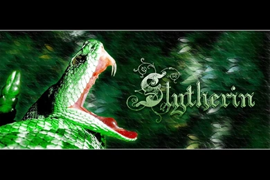 Slytherin Wallpapers Hd Stay028