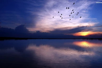 Birds Flying Over The River, Sky, Cloud, Sunset, Nature, 1920x1200 ...