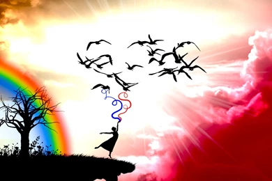 Wallpapers Free Desktop: November 2011