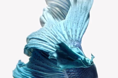 iPhone 6s/ 6s Plus Live Wallpapers As Still