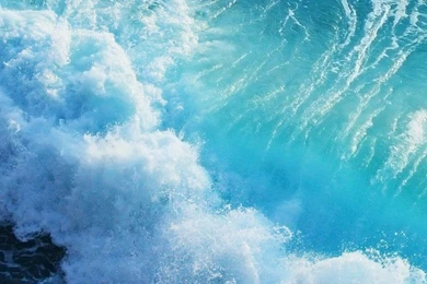 Download Iphone Live Wallpapers   Theme1234.com