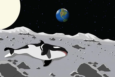 South Park Wallpapers