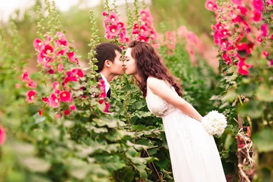 Beautiful Love Couples Wallpapers Cute Pictures