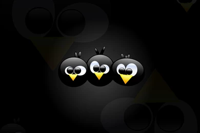 Best Linux Wallpapers   Bing Images