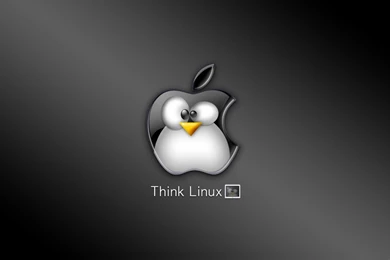 Cute Linux Best Hd Wallpapers