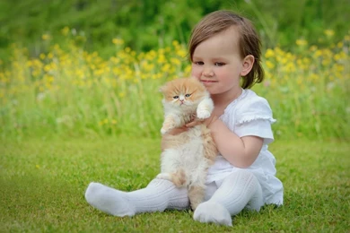 Download Free Cute Babies HD Images For PC   The Quotes Land