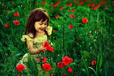 HD Photography Wallpapers : Cute Baby Girl With Red Flowers HD ...