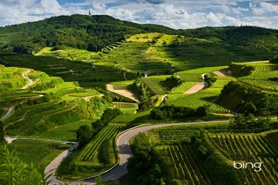 Bing Wallpapers 1920 X 1080   Bing Images