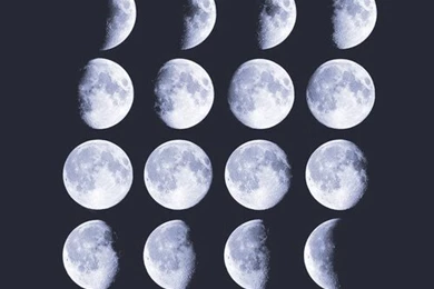 Creds To Owner   Image