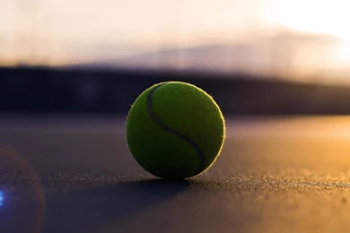 53 Tennis HD Wallpapers