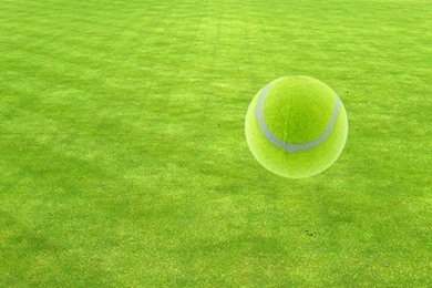 Download Tennis Wallpapers & Desktop Backgrounds