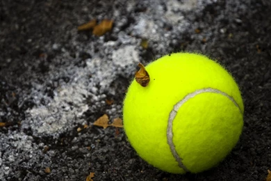Tennis HD Wallpapers