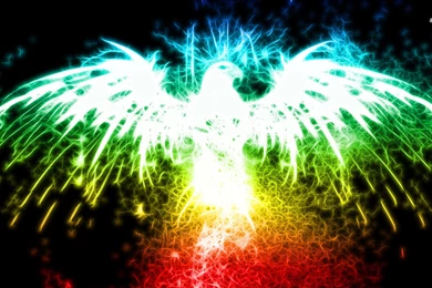 Sparkling Eagle Wallpapers   Digital Art Wallpapers