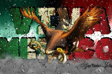Mexican Flag Wallpapers By S4G1TT4R1US 805 On DeviantArt