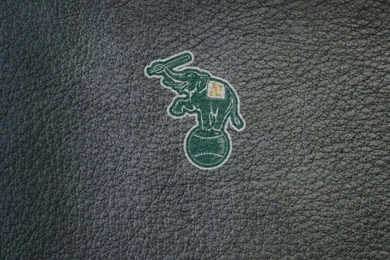 Couple Of Sports Logo Wallpapers