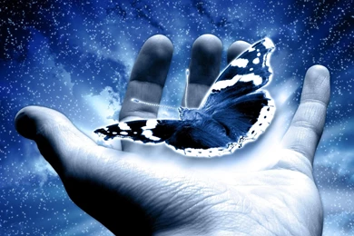 3D Digital Wallpapers Desktop   Bing Images