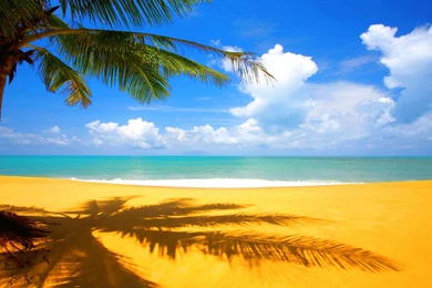 High Resolution Wallpapers Amazing Awesome Fullwidehd.com