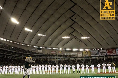 Los Atleticos De Oakland: Para Los Fans: Galer&iacute;a De ...