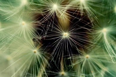 Beautiful High Resolution Natural Wallpapers For Computers – HD ...