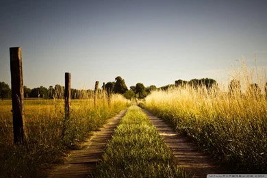 Country Road, Late Summer HD Desktop Wallpapers : High Definition ...