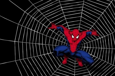 Spiderman Cartoon HD Backgrounds Wallpapers 11438   HD Wallpapers Site