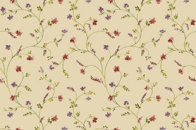 My Wallpapers Border   Kitchen Wallpapers Border   Wall Murals Wallpapers