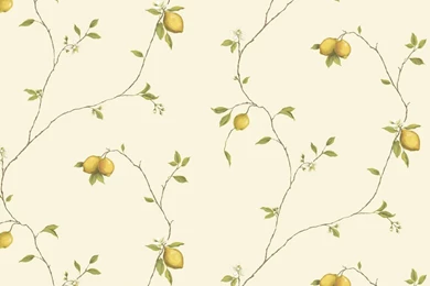 Kitchen Wallpapers Patterns