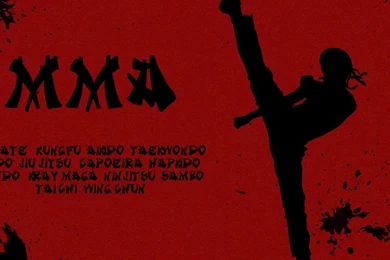 1280x1024 MMA Karate Kid Theme Desktop PC And Mac Wallpapers