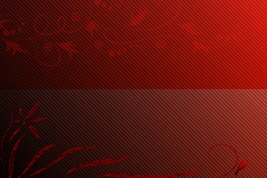 Download Red Floral Wallpapers 1280x1024