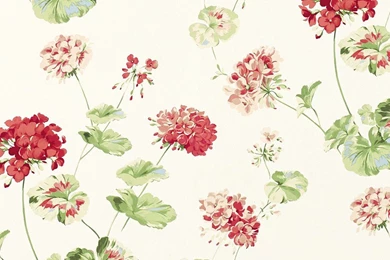 Geranium Cranberry Red Floral Wallpapers At Laura Ashley