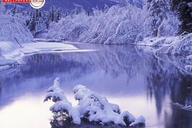 Cs498 daf/scenes.txt At Master · Perryh/cs498 daf · GitHub