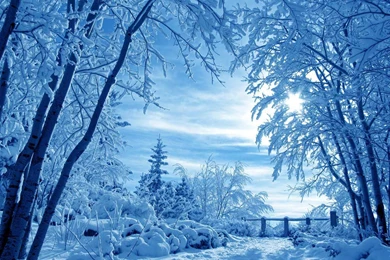 Winter Nature Wallpapers 3   Crazy Frankenstein