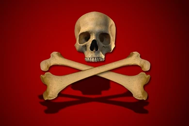 Skull Crossbones Wallpapers