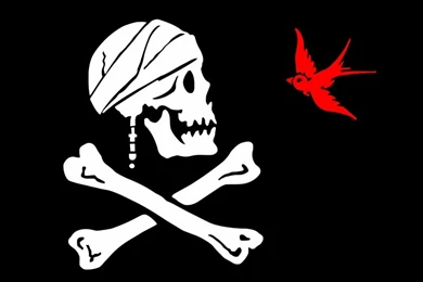 Wallpapers Skull Crossbones Skulls Pirate Bones Red Bird X Animals ...