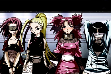 Naruto Girls Lineup Wallpaper Backgrounds