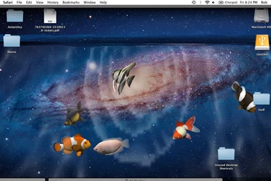 Live Wallpapers PC Free Download Soft Review