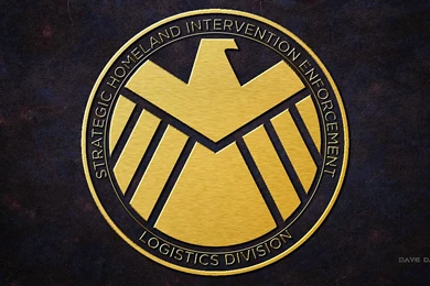 SHIELD Gold Silver And Enamel On Brass Plaque By Dave Daring On ...