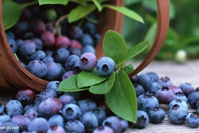 Download Full Hd Wallpapers For Android Archives   Free Desktop ...