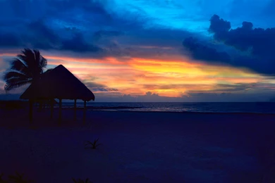 150 Tropical HD Wallpapers