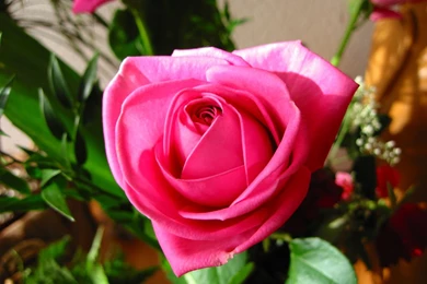 Top 10 Free HD Wallpapers Websites 2015