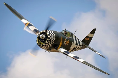 Wwii Plane P47 Thunderbolt   (