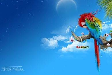 FWA Theme Design Wallpapers 28778   Creative Design   Classic Design