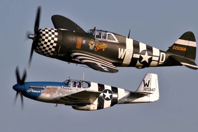 P 47 Mustang   Bing Images
