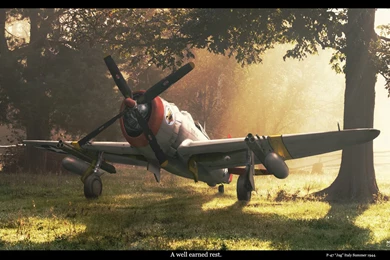 The A2A Simulations Community • View Topic   P 47 At Rest.