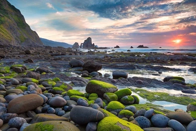 Mychingari.com Review: UX, SEO, Social Stats, Worth & Analysis