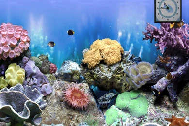 Animated Screen Savers   HD Wallpapers Lovely